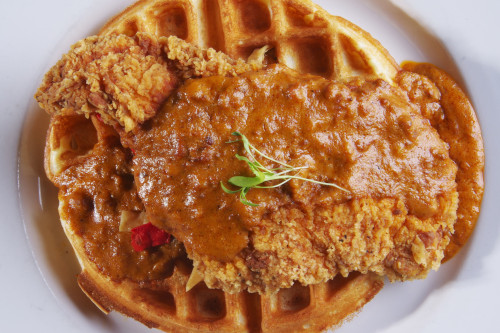 Breaded fried chicken on a waffle covered in brown gravy with a small herb garnish